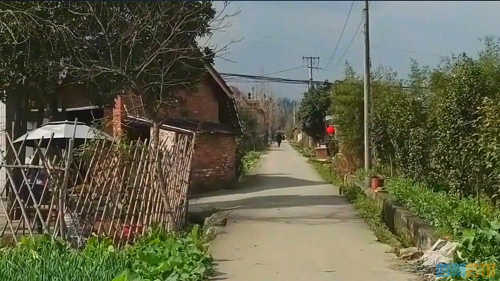 conew_qqͼ20250304133451.jpg