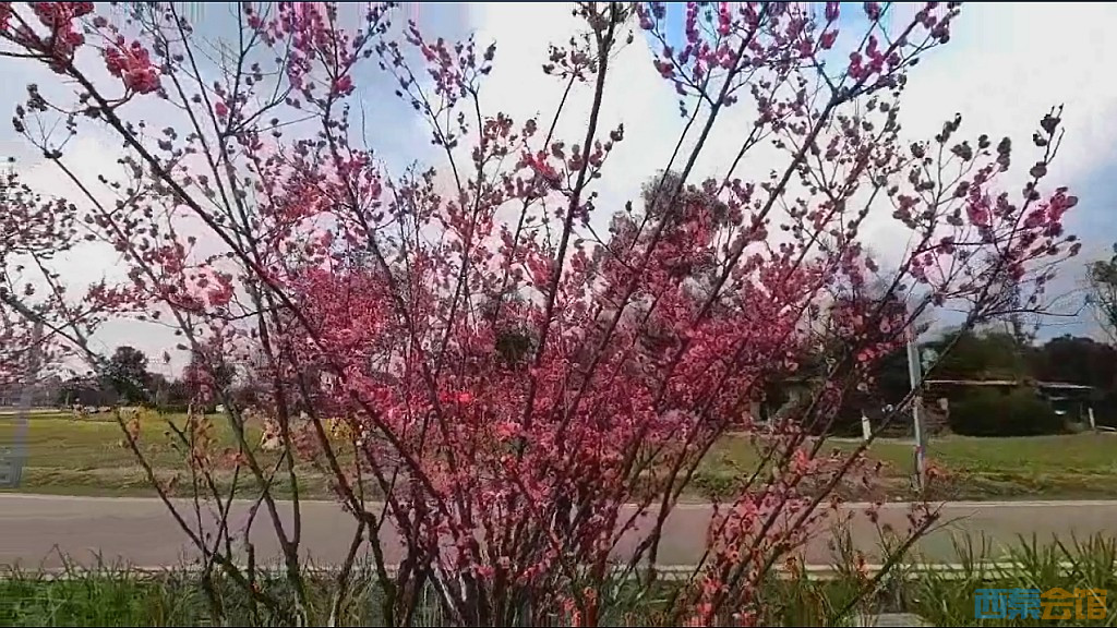 conew_qqͼ20250304135425.jpg