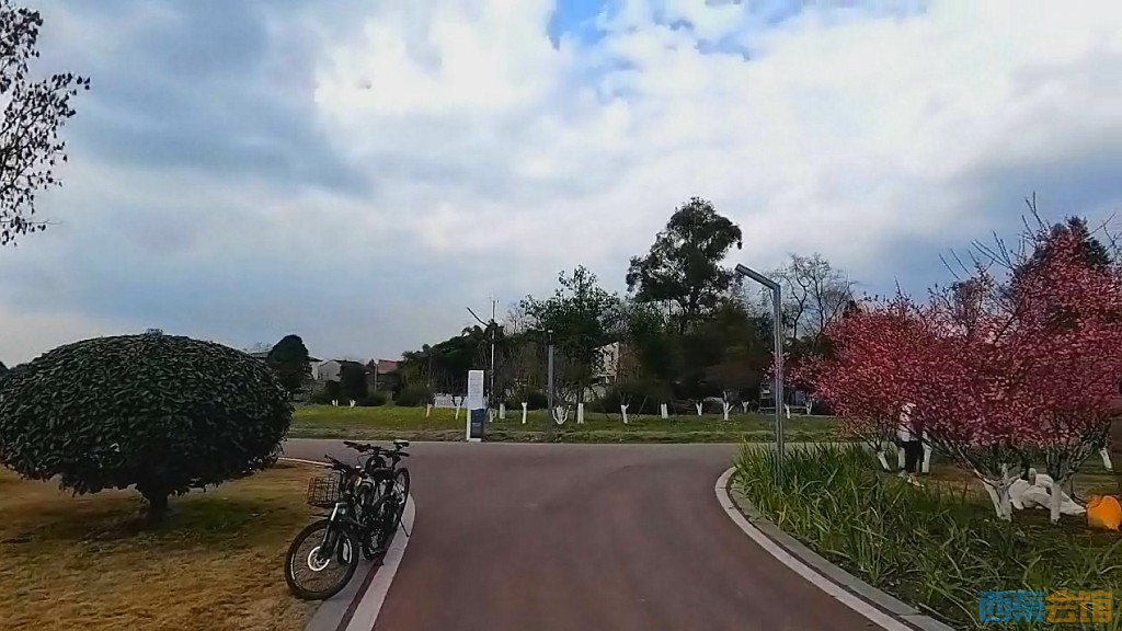 conew_qqͼ20250304135204.jpg