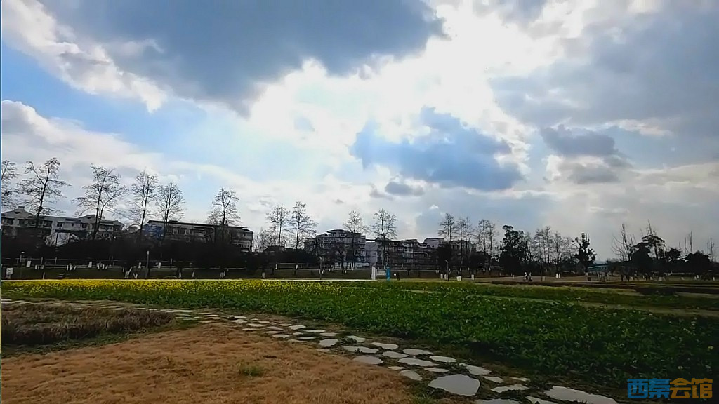 conew_qqͼ20250304135118.jpg