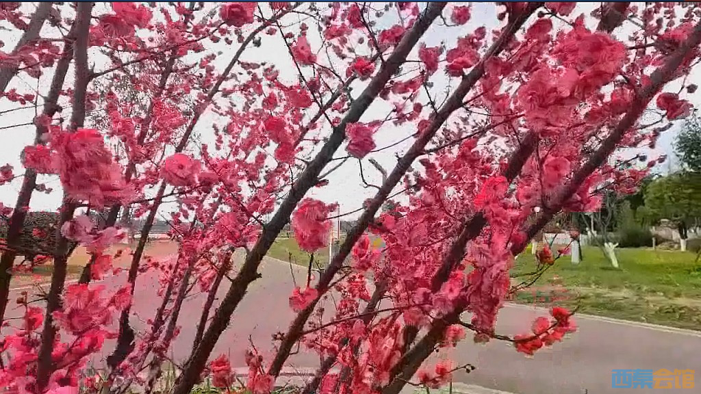 conew_qqͼ20250304135606.jpg