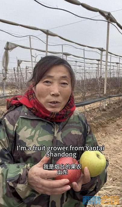΢Žͼ_20250306150006.png