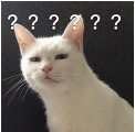 29.png