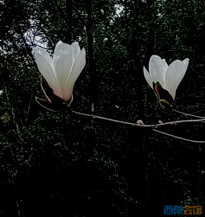 20250309194158front2_0_313205_Fm_3ArrcfhrJ9JKkGfBDTffLEQ6G.jpg