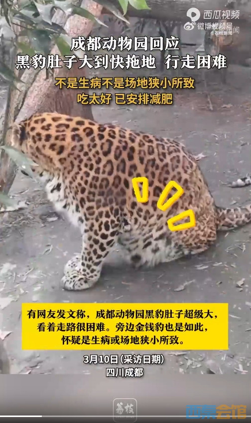 30.png