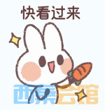 13.png