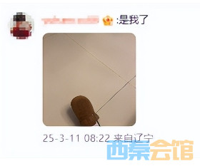 ΢Žͼ_20250311145605.png