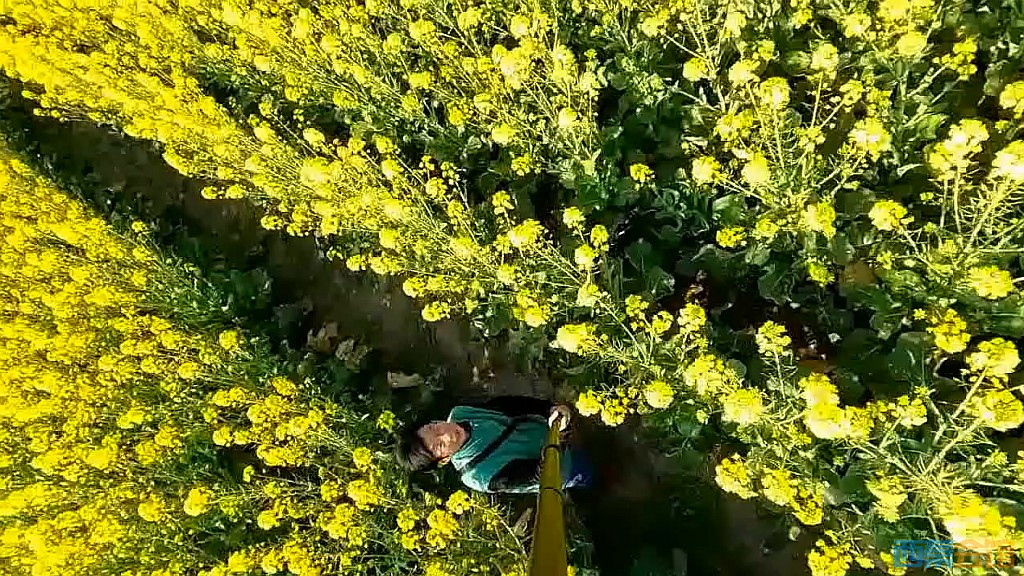 conew_qq��ͼ20250311214738.jpg