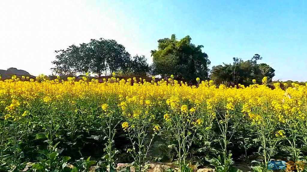 conew_qq��ͼ20250311213953.jpg