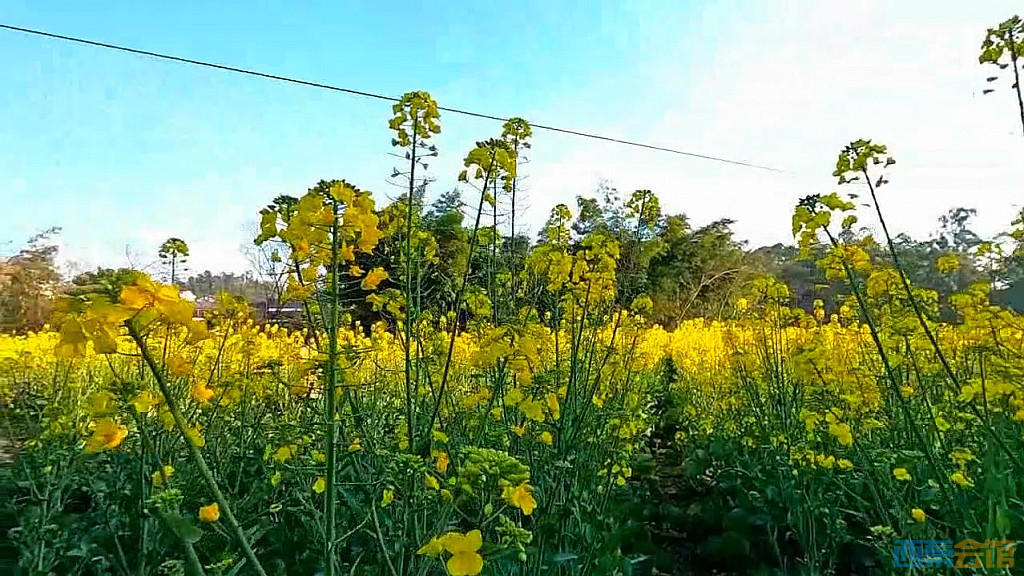 conew_qq��ͼ20250311215124.jpg