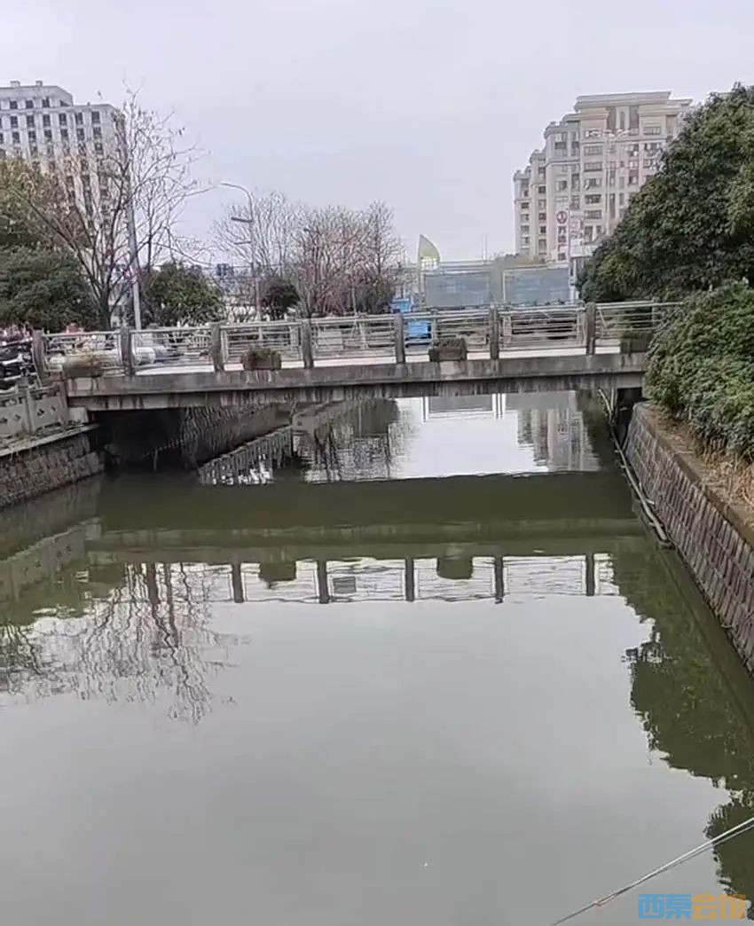 65.jpg