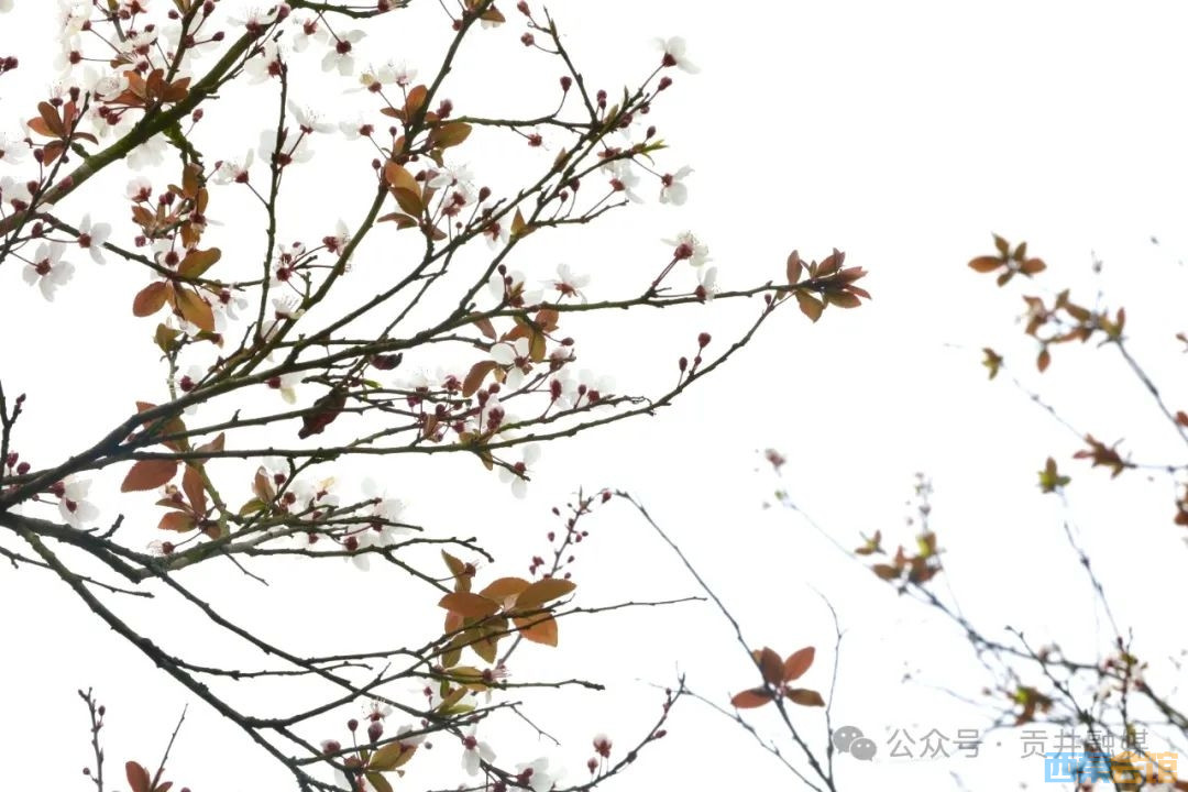 20250314082840front2_0_1552271_Foz06nRu-fcPKw14XJzbnNk4vrQD.jpg