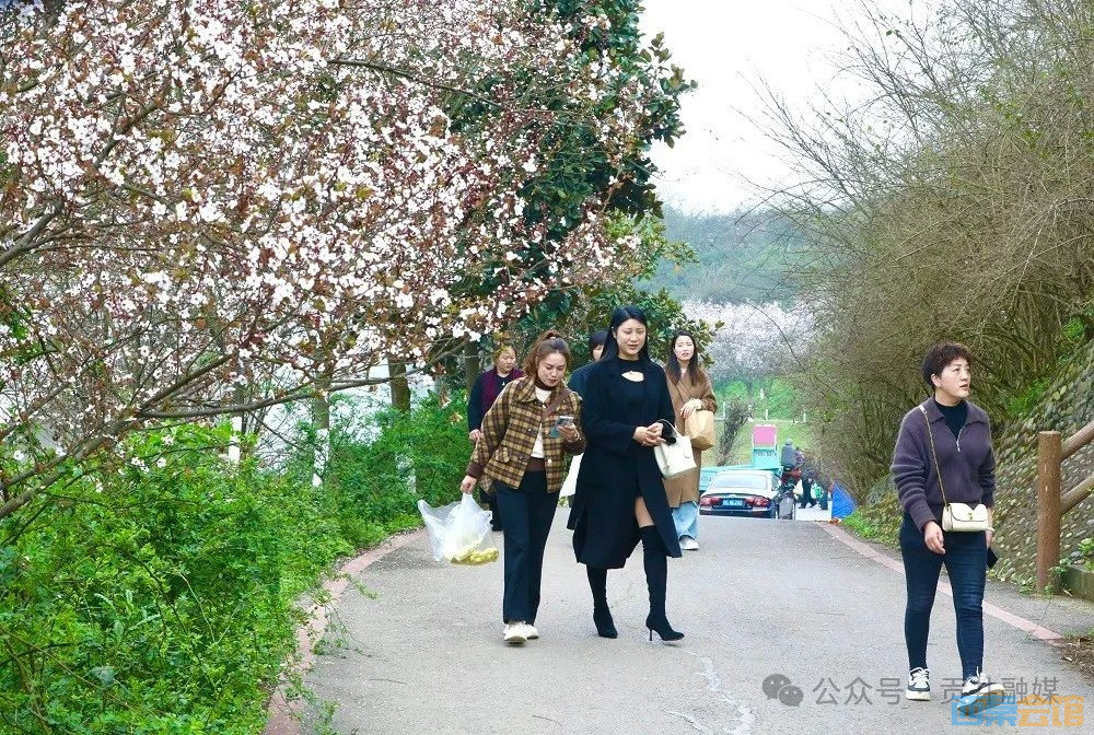 20250314082840front2_0_1552271_Frm15BPpOYxGvZh4p1_kYi-V8Q4C.jpg