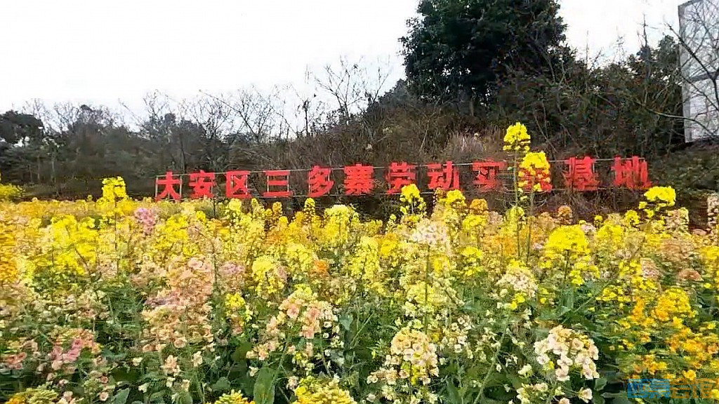 conew_qqͼ20250317201303.jpg