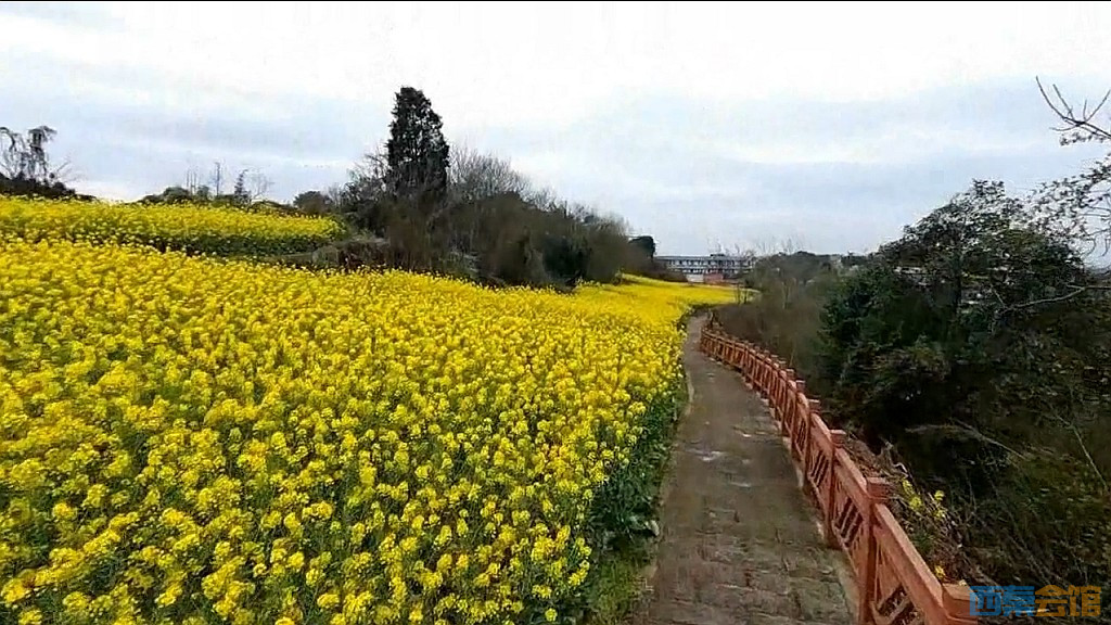 conew_qqͼ20250317201933.jpg