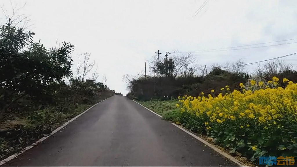 conew_qqͼ20250317204429.jpg