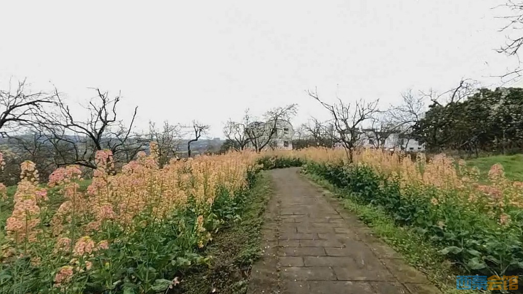 conew_qqͼ20250317210821.jpg