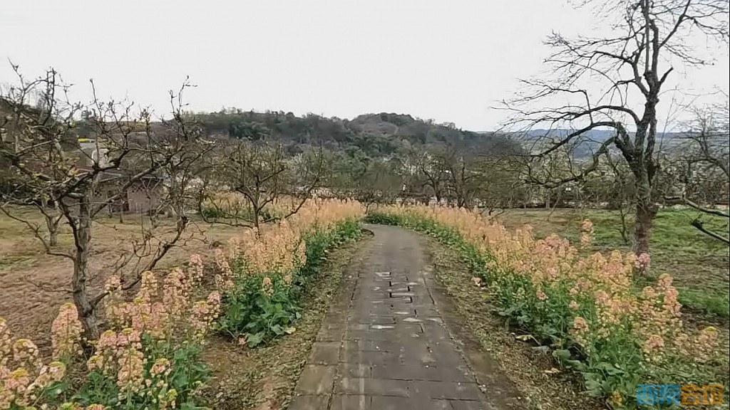 conew_qqͼ20250317210738.jpg