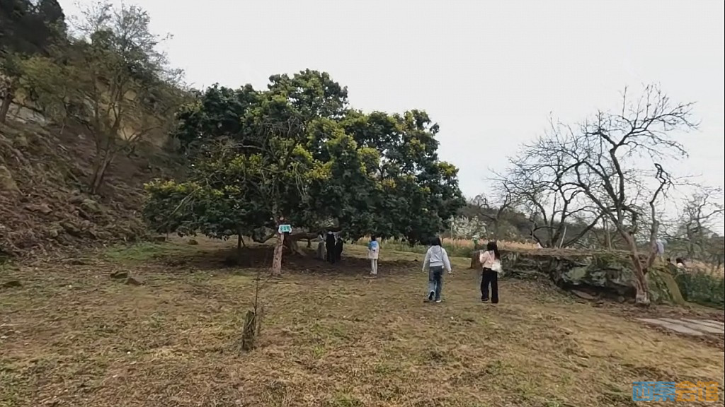 conew_qqͼ20250317211059.jpg