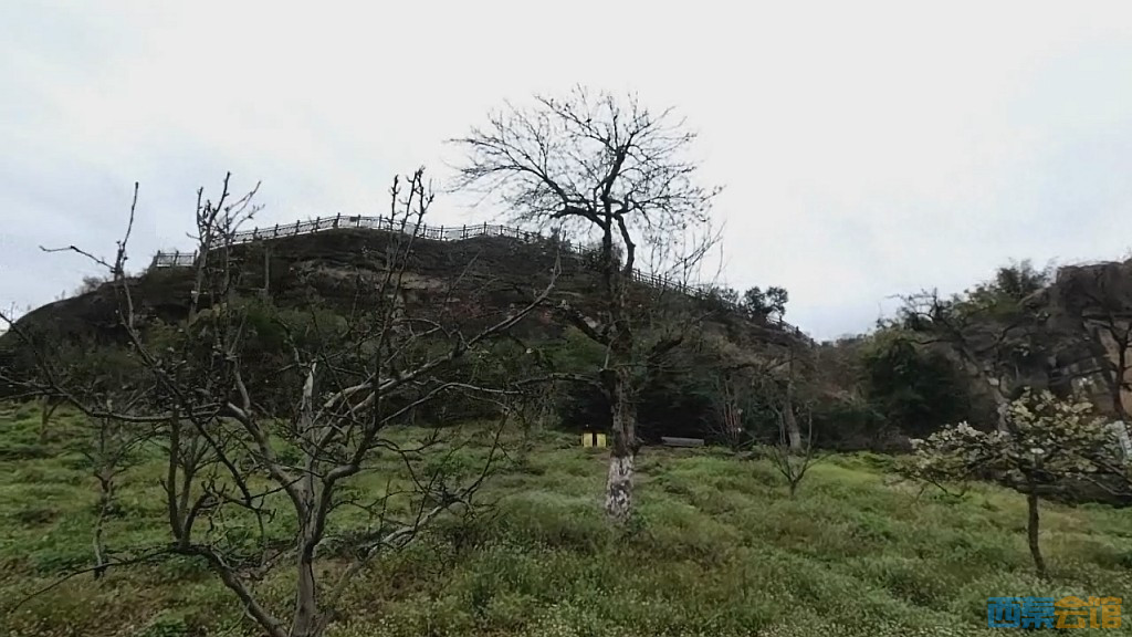conew_qqͼ20250317210447.jpg