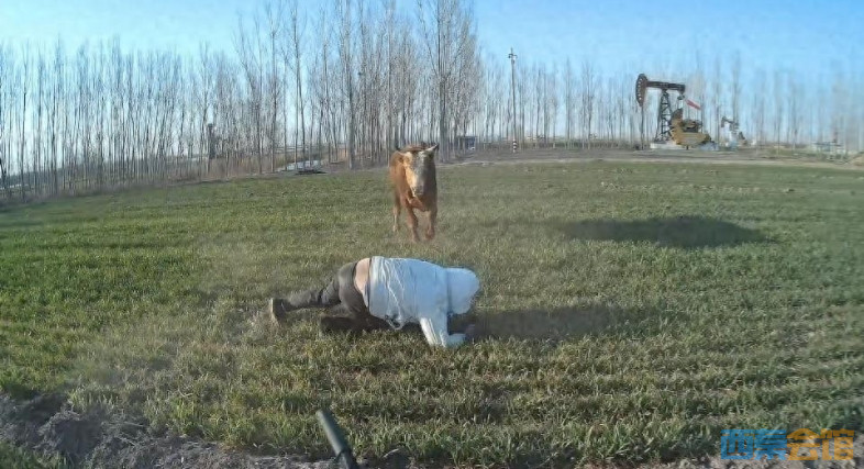 ΢Žͼ_20250318111529.png