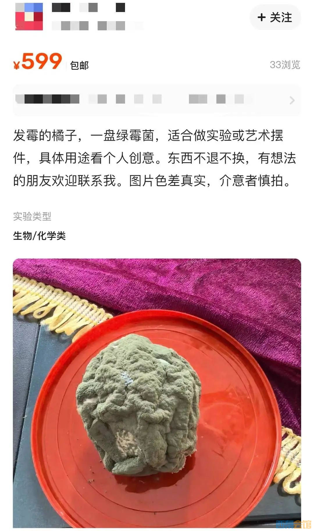 81.jpg