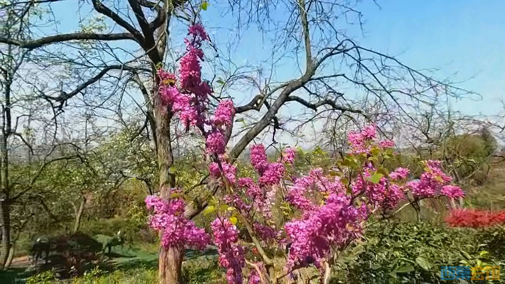 conew_qqͼ20250327123049.jpg