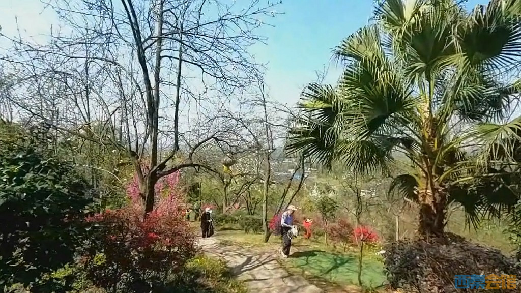 conew_qqͼ20250327123445.jpg