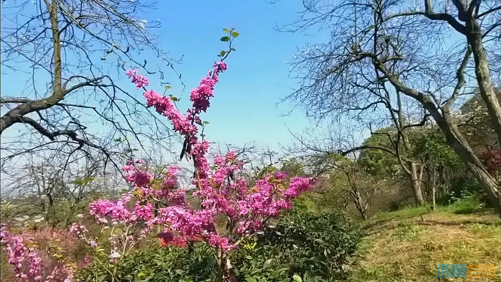 conew_qqͼ20250327123654.jpg