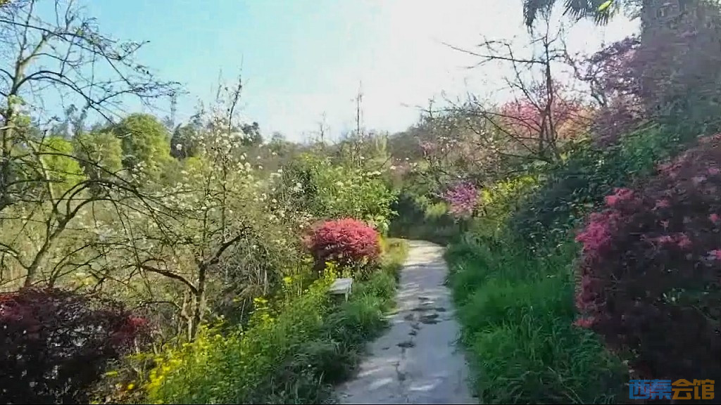 conew_qqͼ20250327123954.jpg