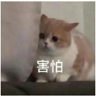 18.png