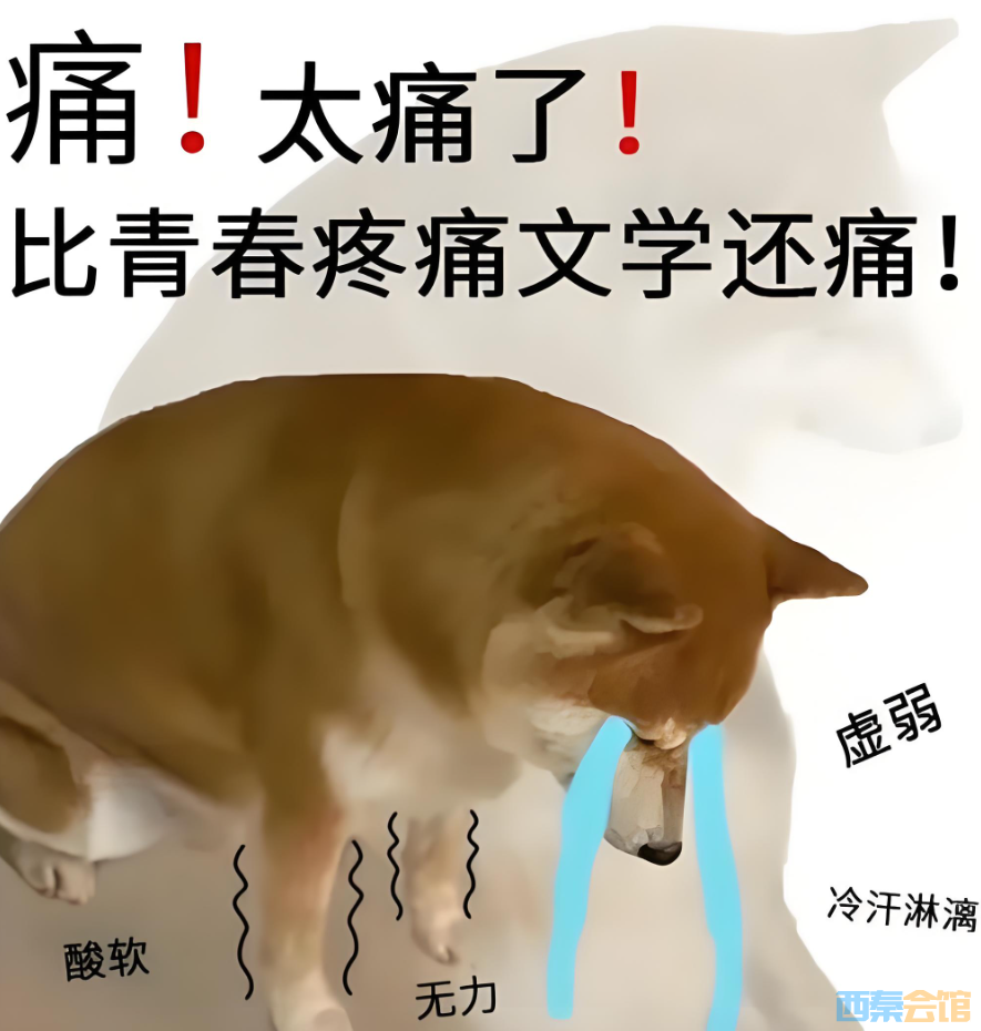 19.png