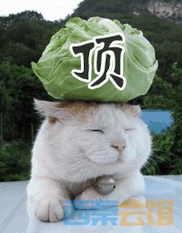 201111282058272662.gif