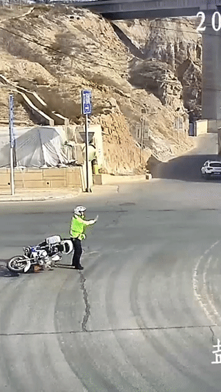 77.gif