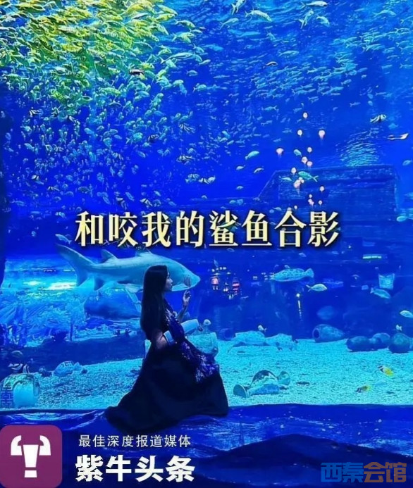 ΢Žͼ_20250401141916.png