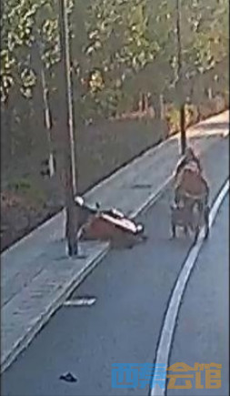΢Žͼ_20250403110927.png