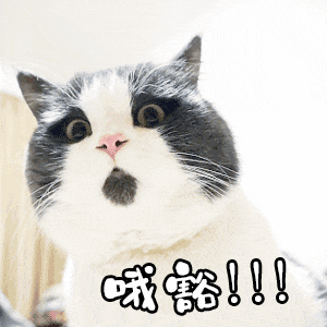 9.gif