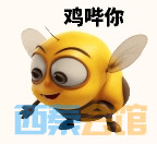 11.png