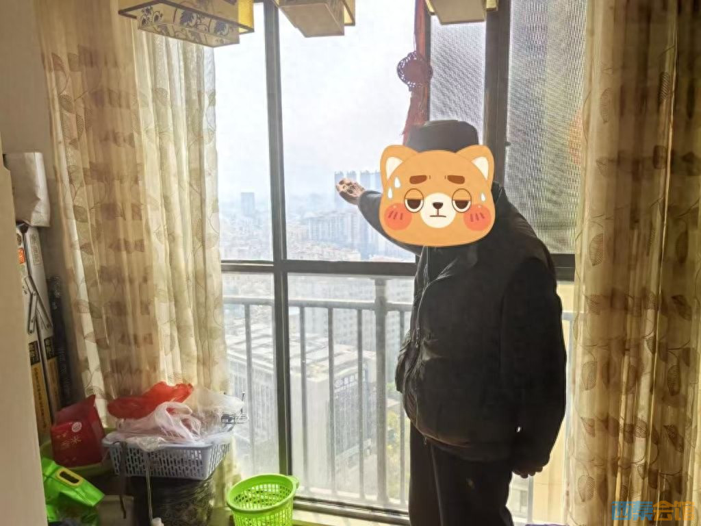 12.jpeg