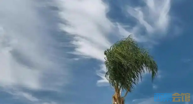 ΢Žͼ_20250413161238.png