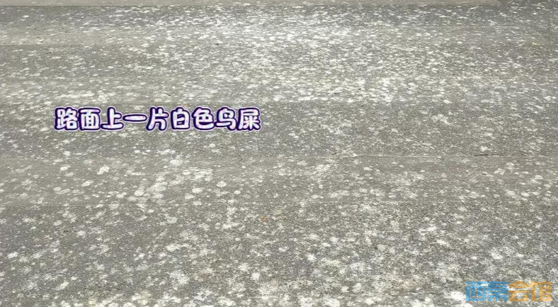 ΢Žͼ_20250414124327.png