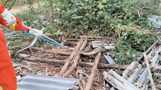 85.gif