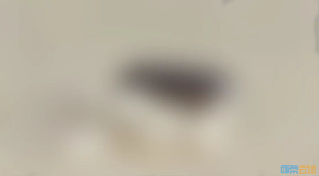 84.jpg