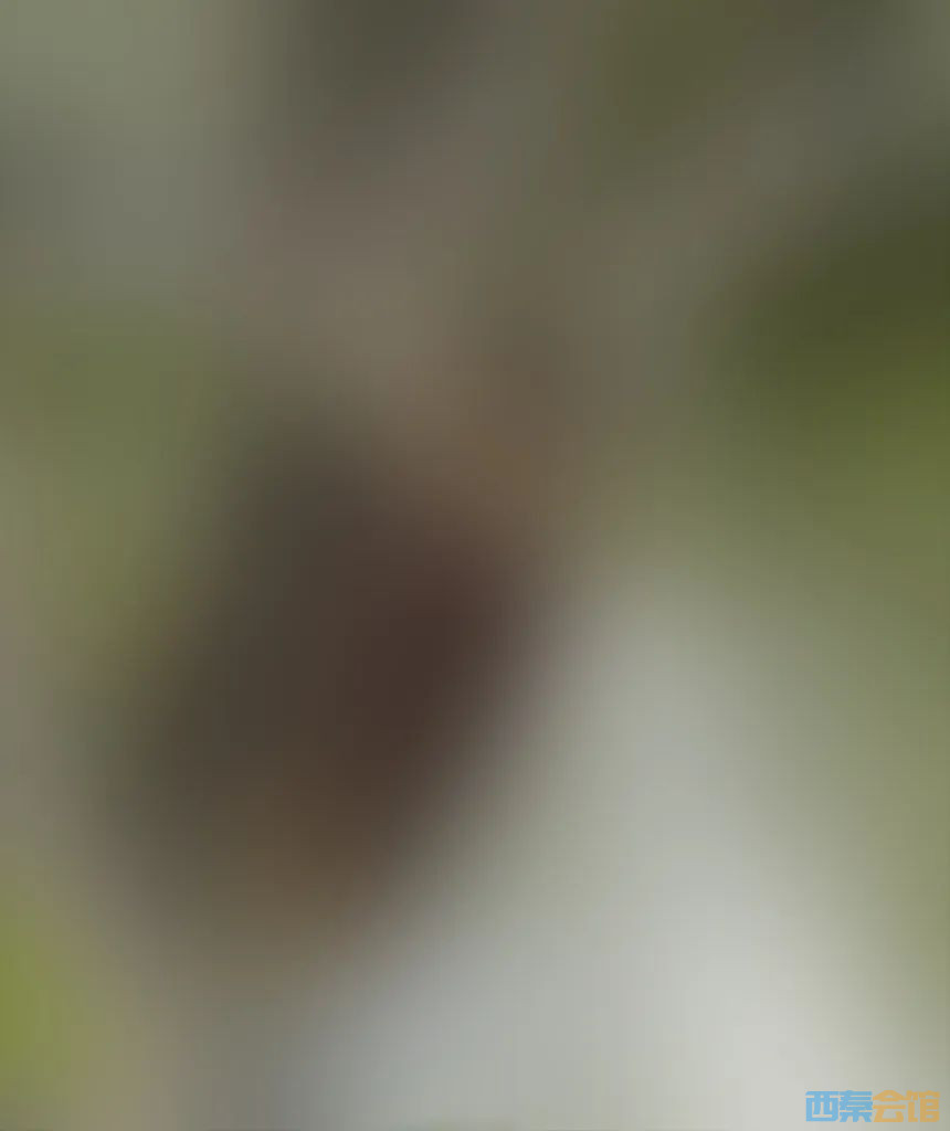 89.jpg