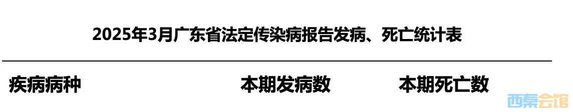 20250420225330front2_0_1555385_FqkL8DB4oTk9tWGr9cOTUbVabxhe.png