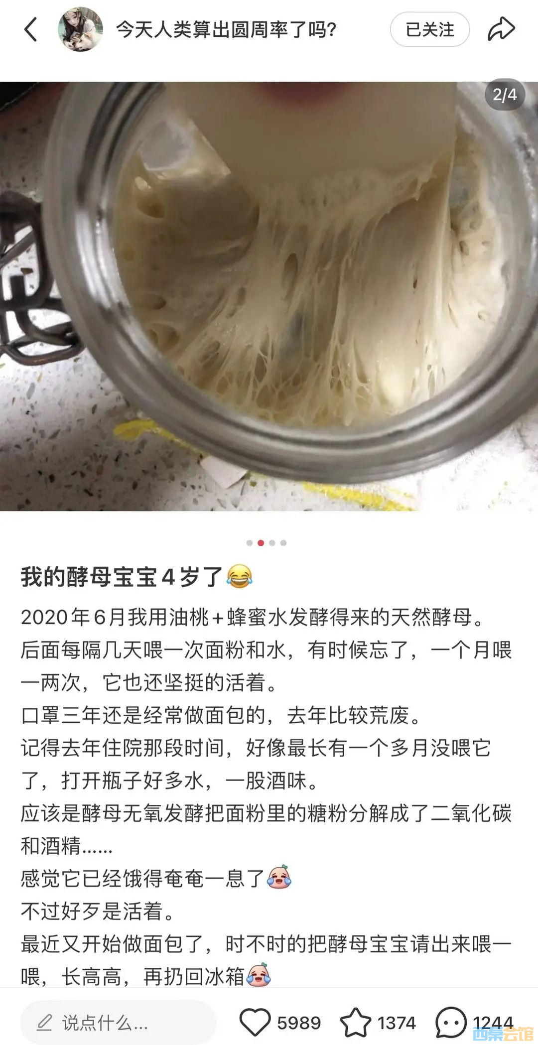 77.jpg