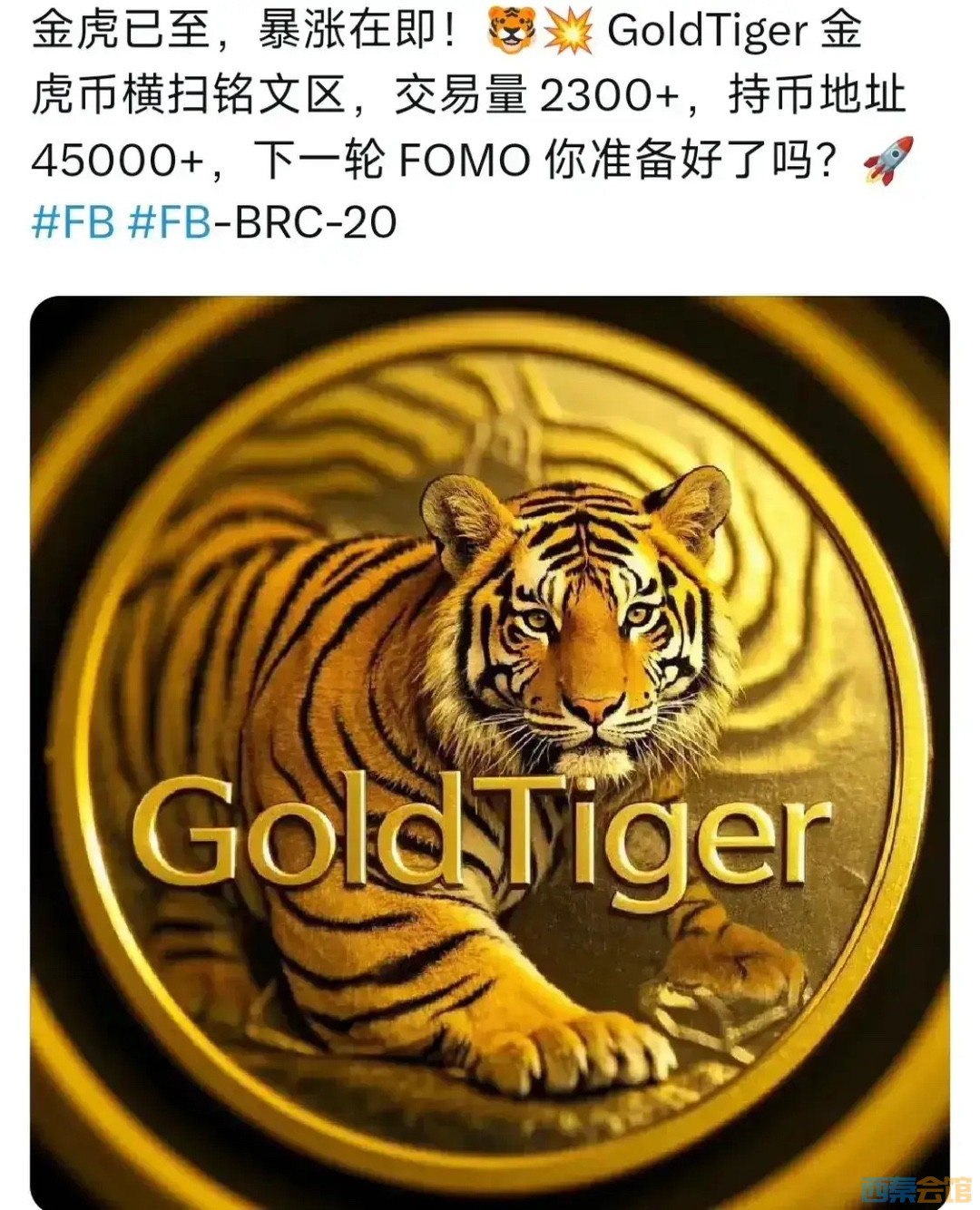 20250428101818front1_0_431973_FuR9aQKEOUVTfI4bQO8aLIQTqASx.jpg