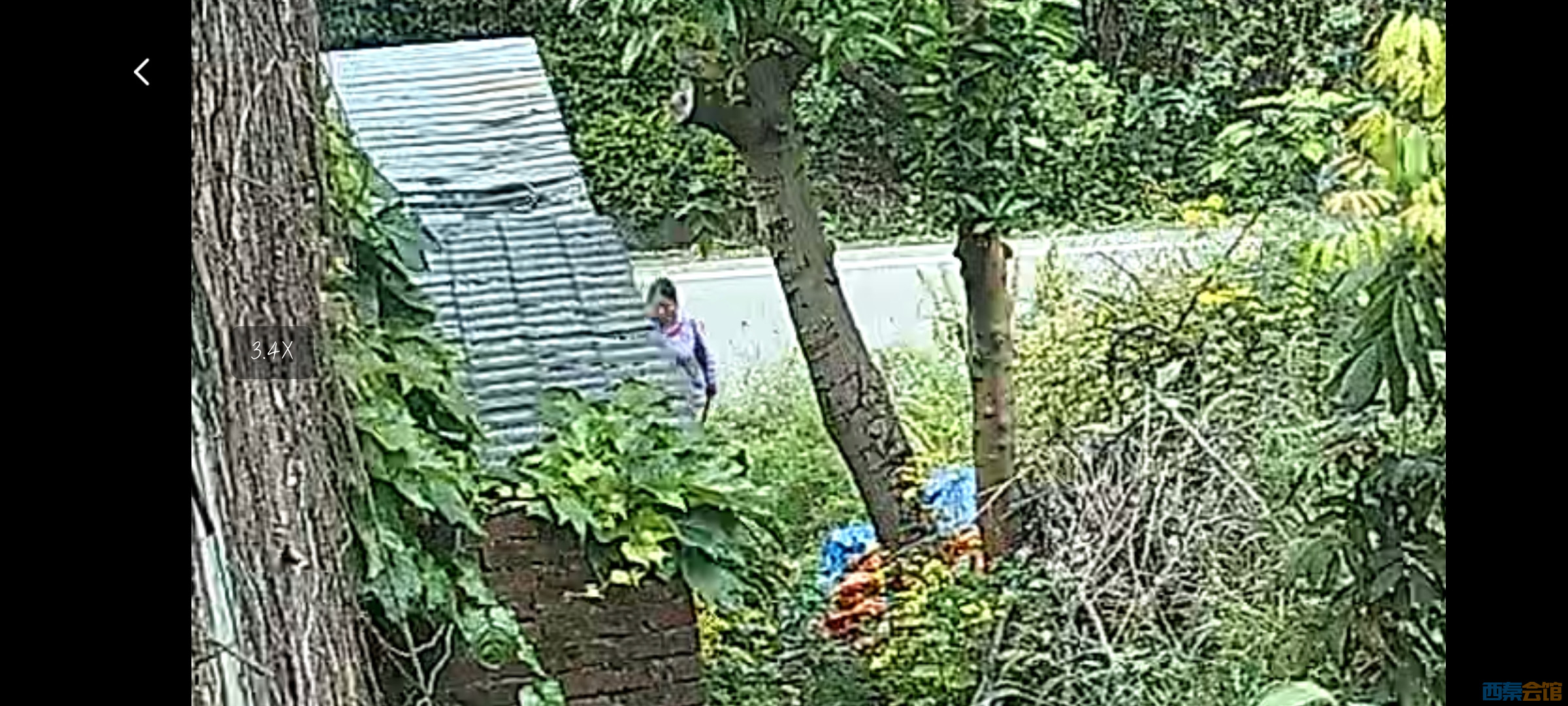 20250428215652front2_0_1530110_FqowJzuAWnevpjPwbzUcvkA24Kyi.jpg