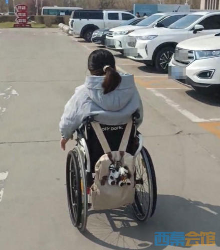 ΢Žͼ_20250502094517.png