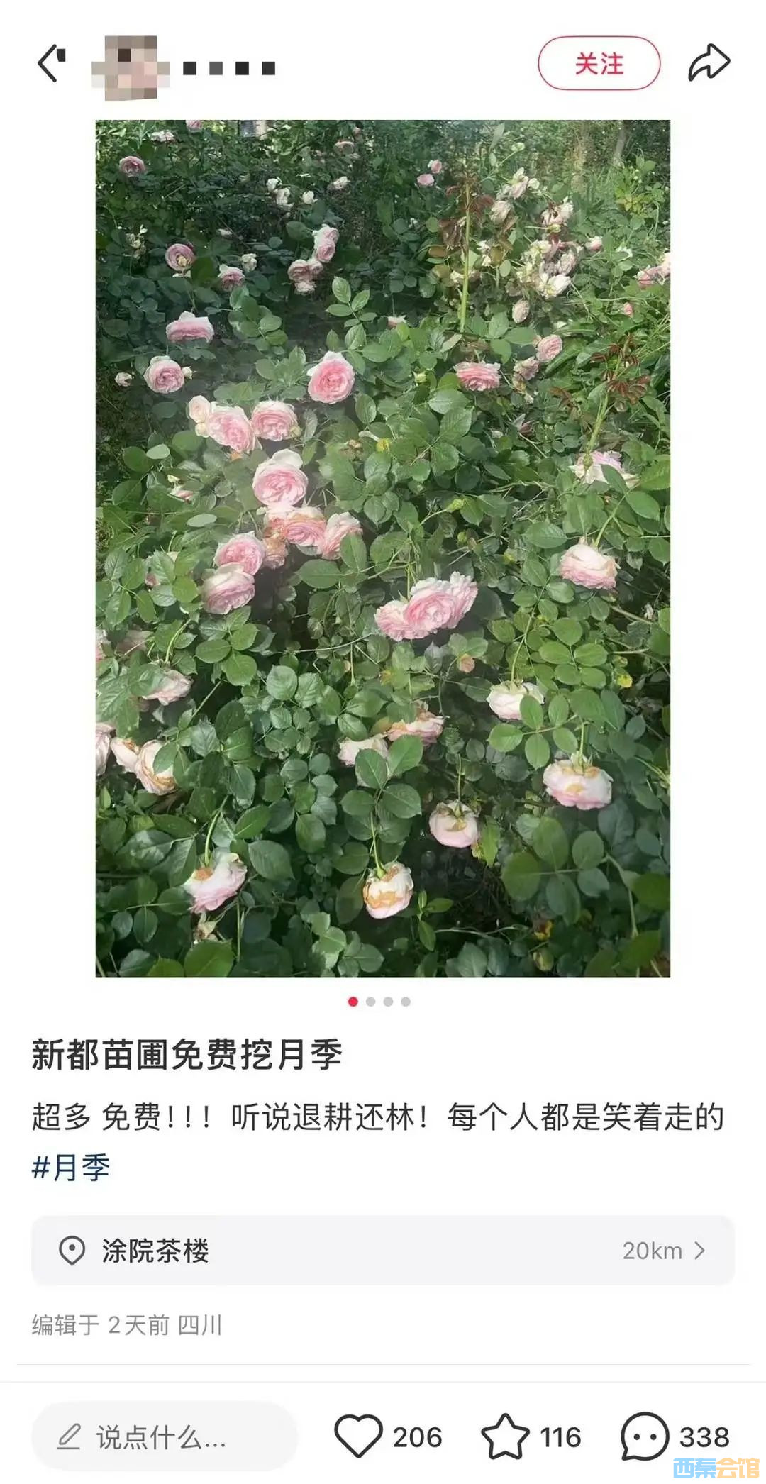 70.jpg